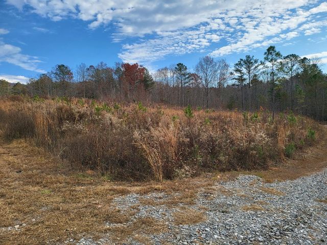 00 Highgrove Drive, Ellijay, GA 30540