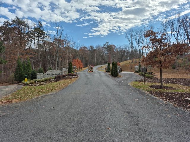 00 Highgrove Drive, Ellijay, GA 30540