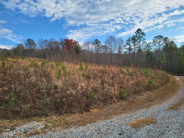 00 Highgrove Drive, Ellijay, GA 30540