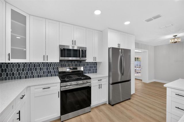 207 LENTZ ROAD, Brandon, FL 33510