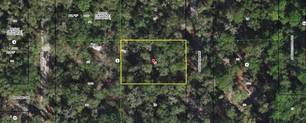 3966 S KILLDEER AVENUE, Inverness, FL 34450