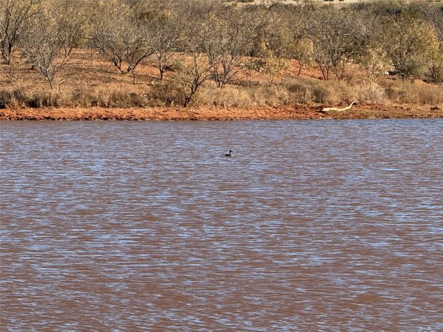 5725 FM604, Ovalo, TX 79541