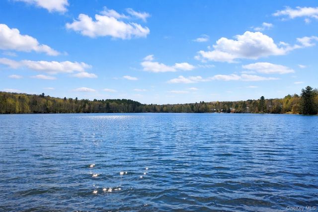 4 Ray Lane, Loch Sheldrake, NY 12733