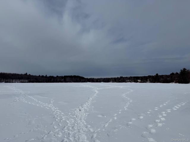 4 Ray Lane, Loch Sheldrake, NY 12733