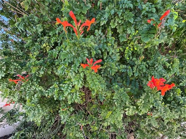 27101 Comwell, Menifee, CA 92586