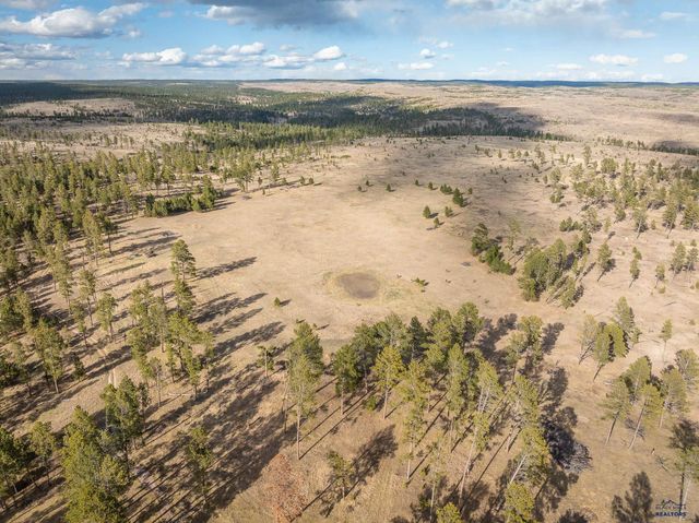 10545 CUSTER LIMESTONE RD, Custer, SD 57730