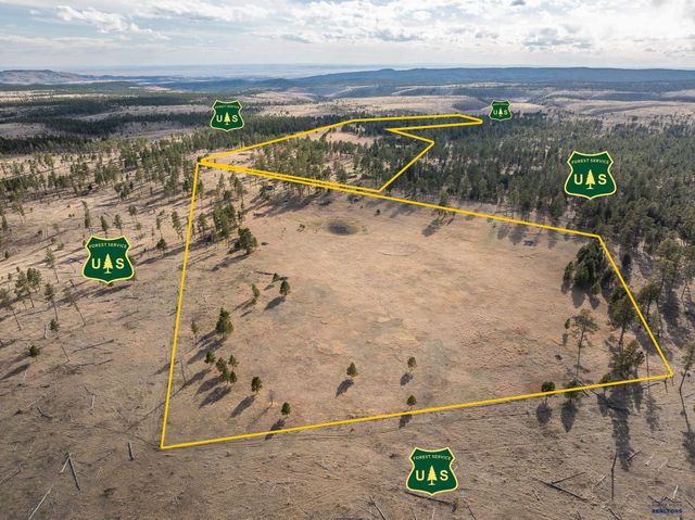 10545 CUSTER LIMESTONE RD, Custer, SD 57730