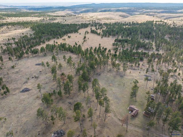 10545 CUSTER LIMESTONE RD, Custer, SD 57730