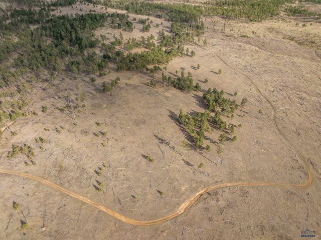 10545 CUSTER LIMESTONE RD, Custer, SD 57730