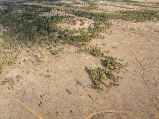 10545 CUSTER LIMESTONE RD, Custer, SD 57730