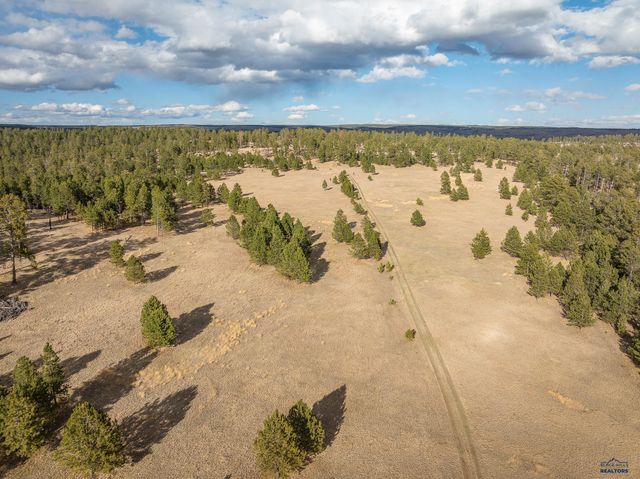 10545 CUSTER LIMESTONE RD, Custer, SD 57730