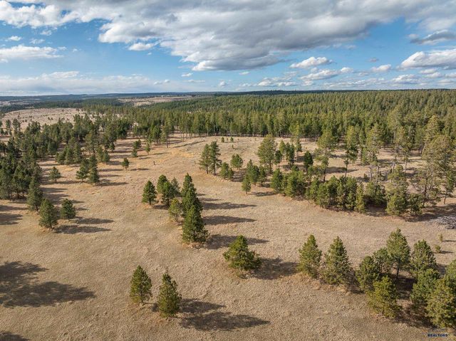 10545 CUSTER LIMESTONE RD, Custer, SD 57730