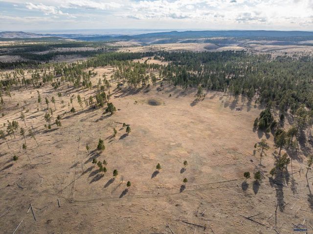 10545 CUSTER LIMESTONE RD, Custer, SD 57730