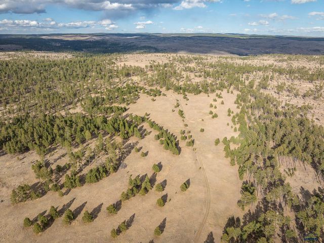 10545 CUSTER LIMESTONE RD, Custer, SD 57730