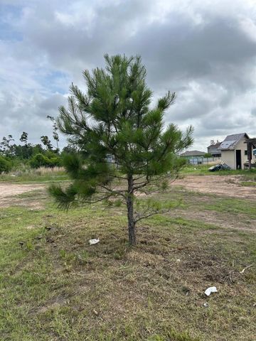 65 Road 5215, Cleveland, TX 77327