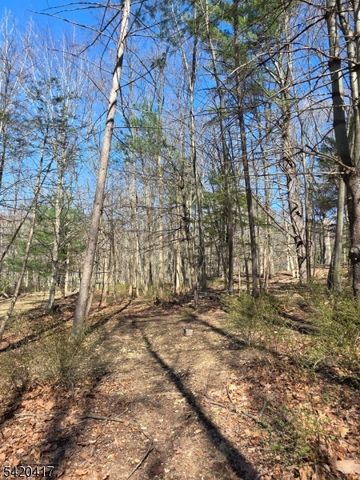 122 Washington Ave, High Bridge Boro, NJ 08829