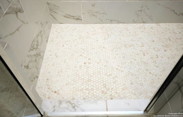 210 W Poplar St Unit 101, San Antonio, TX 78212