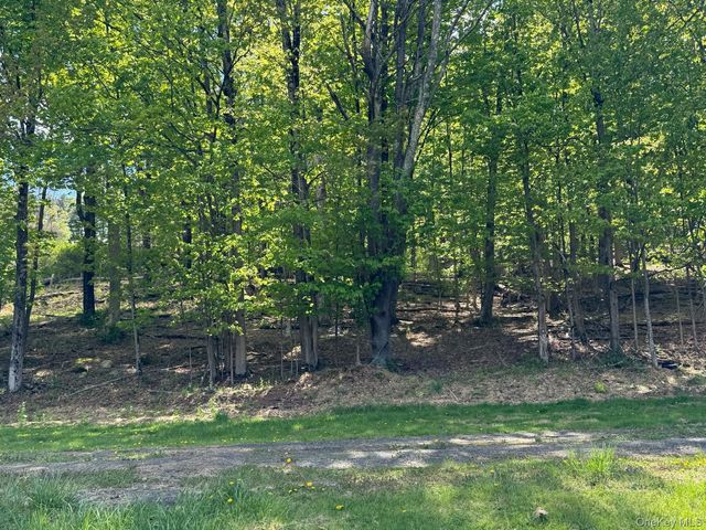 Westwood Avenue, Ellenville, NY 12428