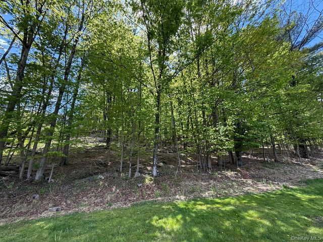 Westwood Avenue, Ellenville, NY 12428