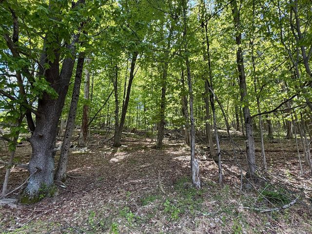 Westwood Avenue, Ellenville, NY 12428