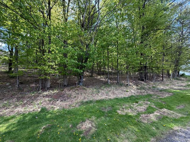 Westwood Avenue, Ellenville, NY 12428