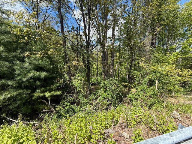 Westwood Avenue, Ellenville, NY 12428
