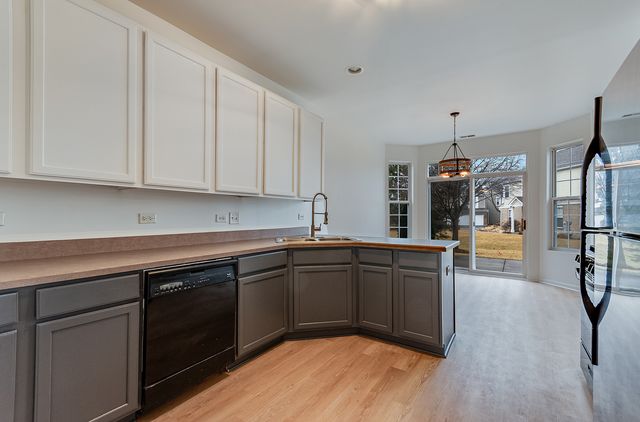 24329 Leski Lane, Plainfield, IL 60585