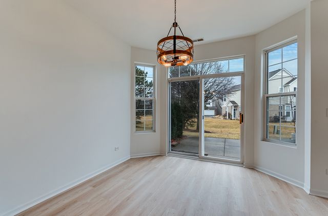 24329 Leski Lane, Plainfield, IL 60585