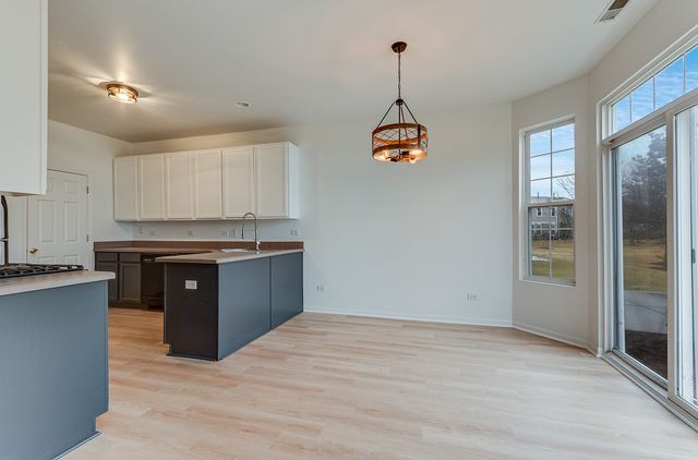 24329 Leski Lane, Plainfield, IL 60585