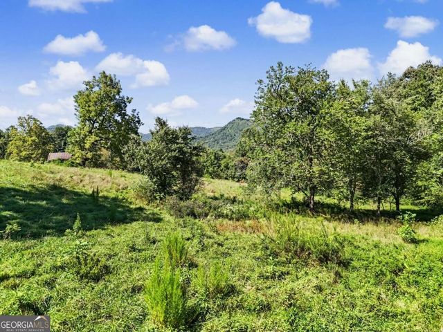 323 Burch Cove Road, Hayesville, NC 28904