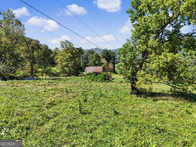 323 Burch Cove Road, Hayesville, NC 28904