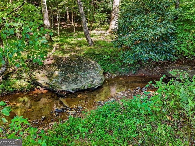 323 Burch Cove Road, Hayesville, NC 28904