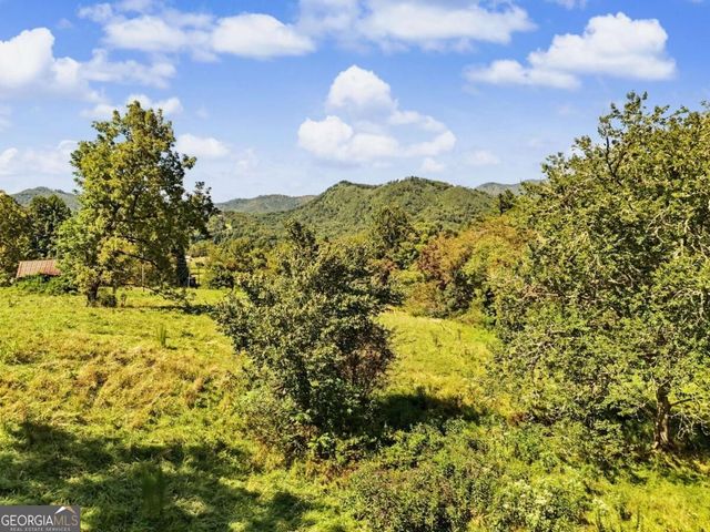 323 Burch Cove Road, Hayesville, NC 28904