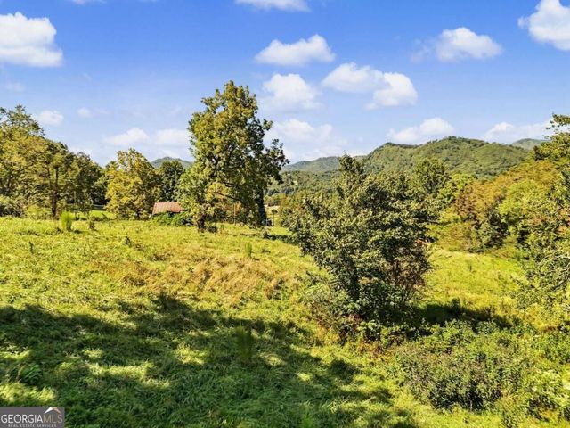 323 Burch Cove Road, Hayesville, NC 28904