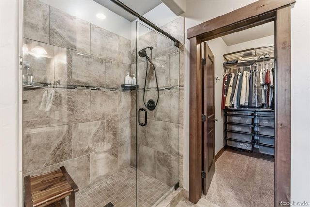 217 Fly Line Drive, Silverthorne, CO 80498