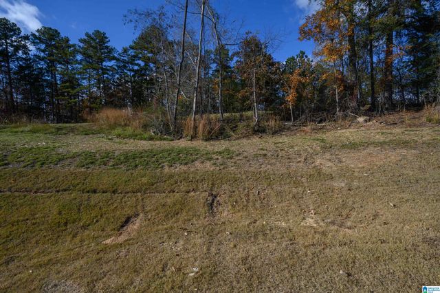 6718 MOSSY OAK COVE, Trussville, AL 35173