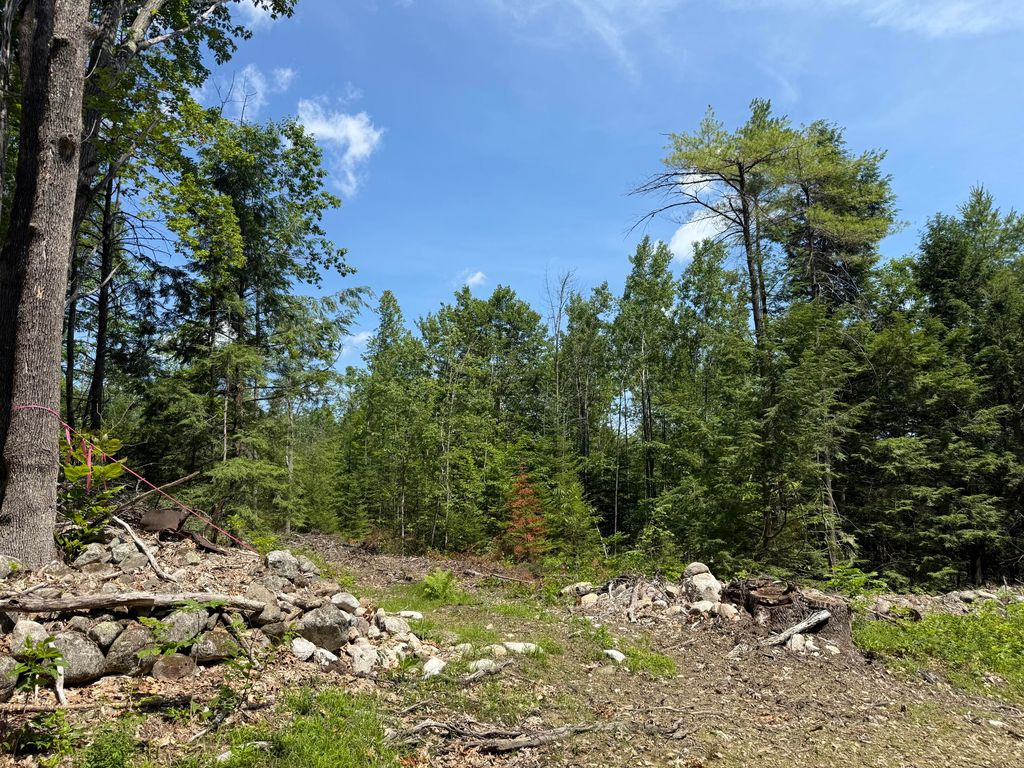 0 Fosterville Road, Bridgton, ME 04009 — photo 2