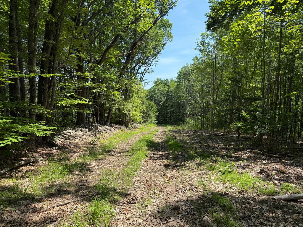 0 Fosterville Road, Bridgton, ME 04009 — photo 3