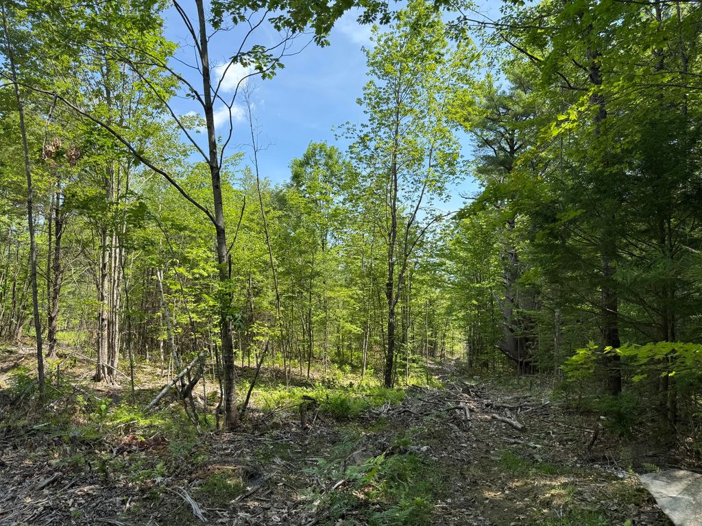 0 Fosterville Road, Bridgton, ME 04009 — photo 4