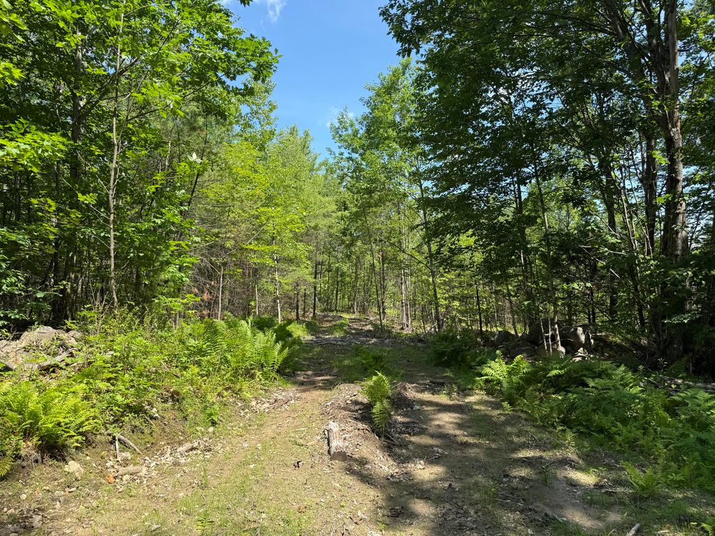 0 Fosterville Road, Bridgton, ME 04009 — photo 5
