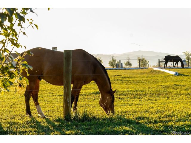 7755 Valleyview Cir, Windsor, CO 80550