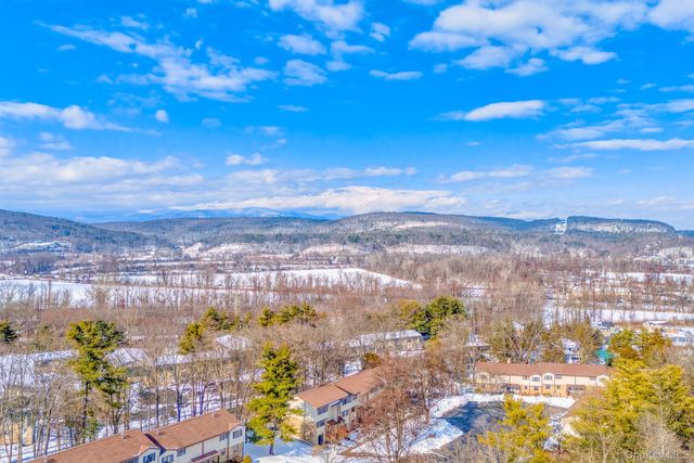 255 Village Court, Kingston, NY 12401