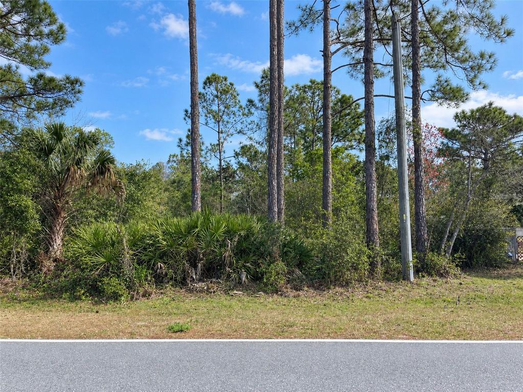 ROYAL TRAILS ROAD, Eustis, FL 32736