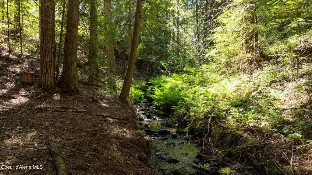 7966 W NASH RD, Spirit Lake, ID 83869