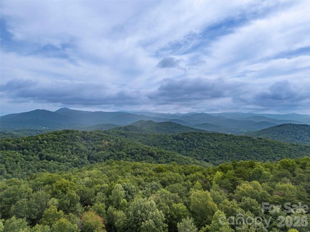 916 Fire Tower Road, Bostic, NC 28018