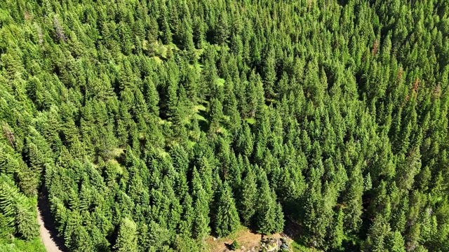 NNA N Travis Rd, Spokane, WA 99021