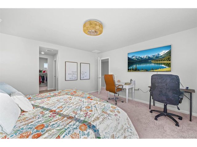 837 Hummocky Way, Windsor, CO 80550