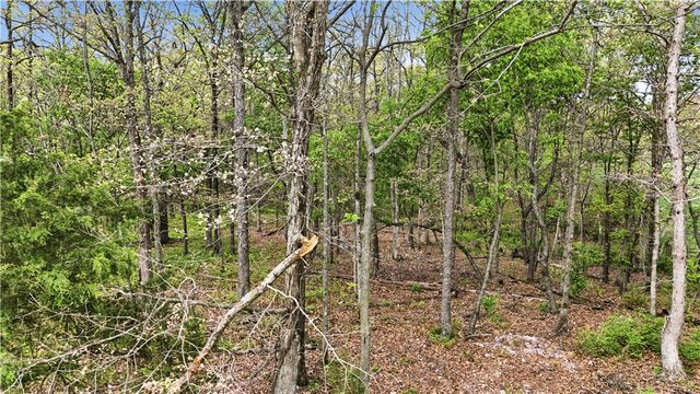Lot 23AA Hummingbird Road, Gravette, AR 72736