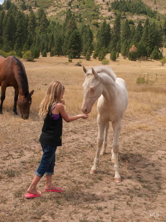 Blk 10 Lot 4 Whitewater Way, Garden Valley, ID 83622 photo 23