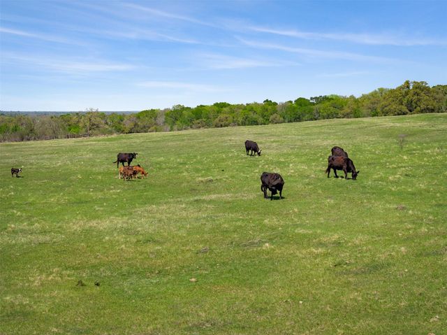 000 Dannheim Road, Brenham, TX 77833